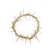 COT-03 9 IN CROWN OF THORNS